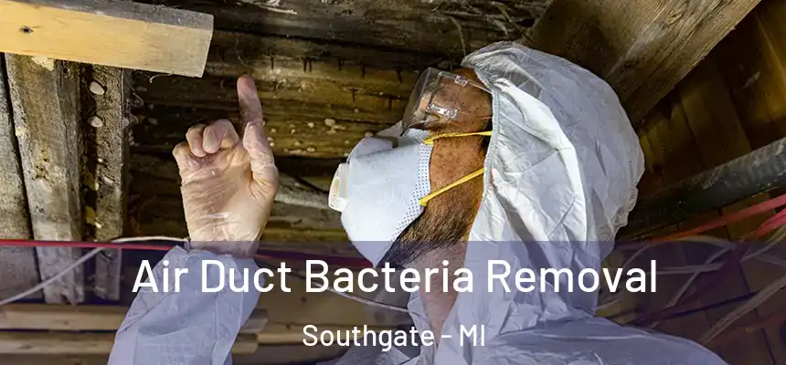  Air Duct Bacteria Removal Southgate - MI