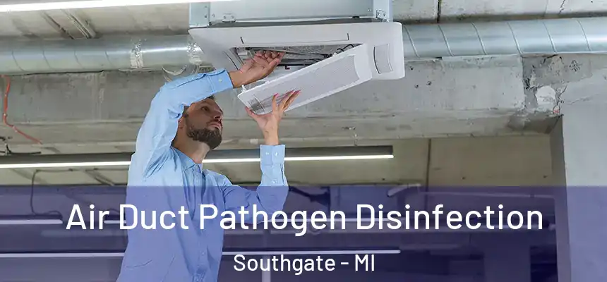 Air Duct Pathogen Disinfection Southgate - MI