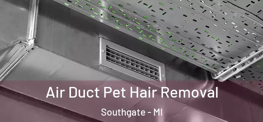  Air Duct Pet Hair Removal Southgate - MI