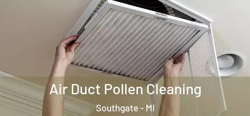  Air Duct Pollen Cleaning Southgate - MI