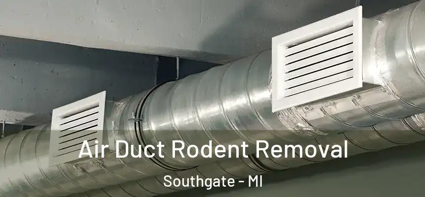  Air Duct Rodent Removal Southgate - MI