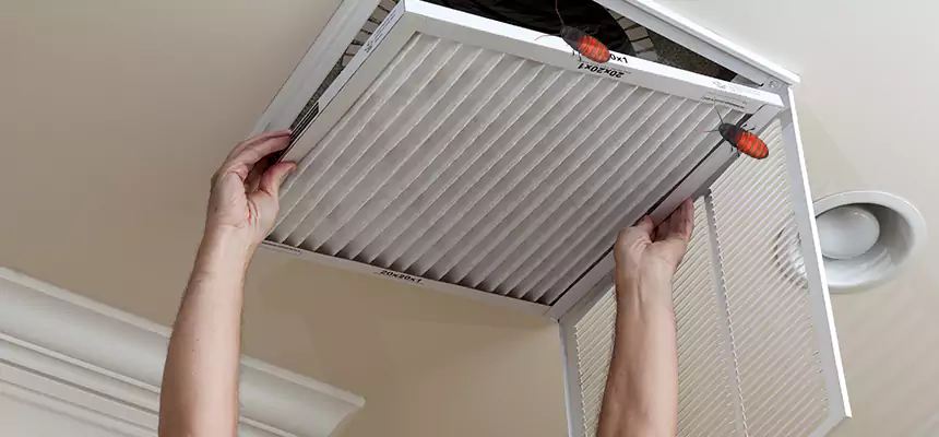 Preventive Cockroach-Proofing for Ducts in Southgate
