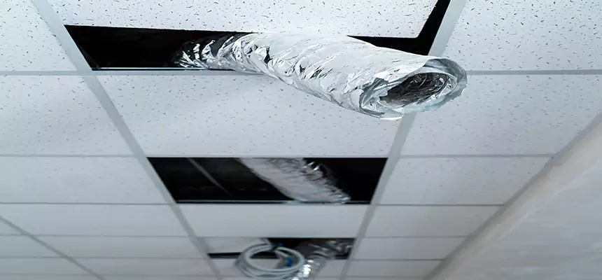 Our Air Duct Pet Hair Removal Services in Southgate, MI