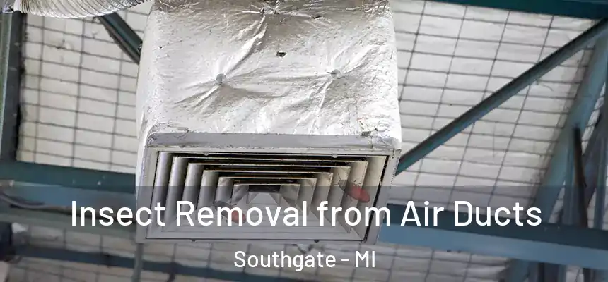  Insect Removal from Air Ducts Southgate - MI