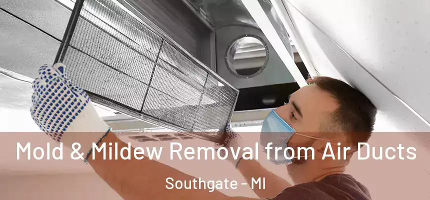  Mold & Mildew Removal from Air Ducts Southgate - MI