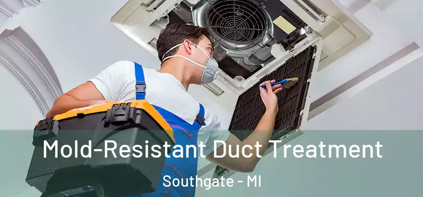  Mold-Resistant Duct Treatment Southgate - MI