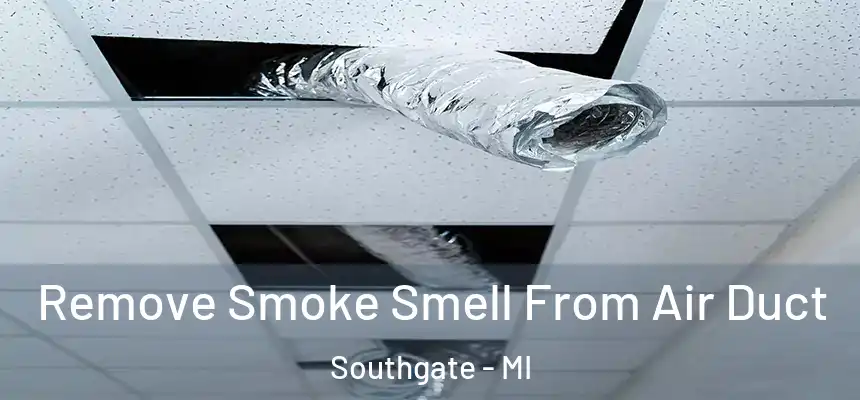  Remove Smoke Smell From Air Duct Southgate - MI
