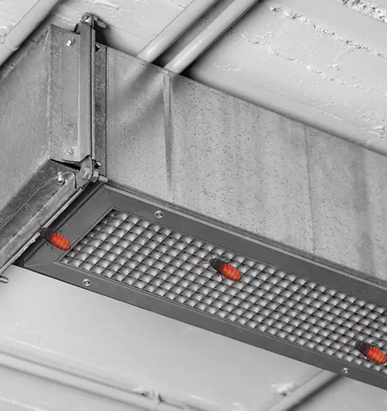 About Air Duct Cockroach Removal in Southgate, MI
