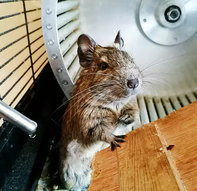 Why Homeowners & Businesses Trust Us Southgate, MI