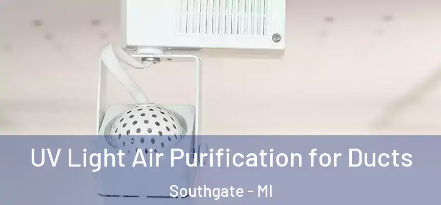 UV Light Air Purification for Ducts Southgate - MI